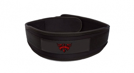 Lifting Belt